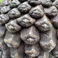 Solar Pinecone House