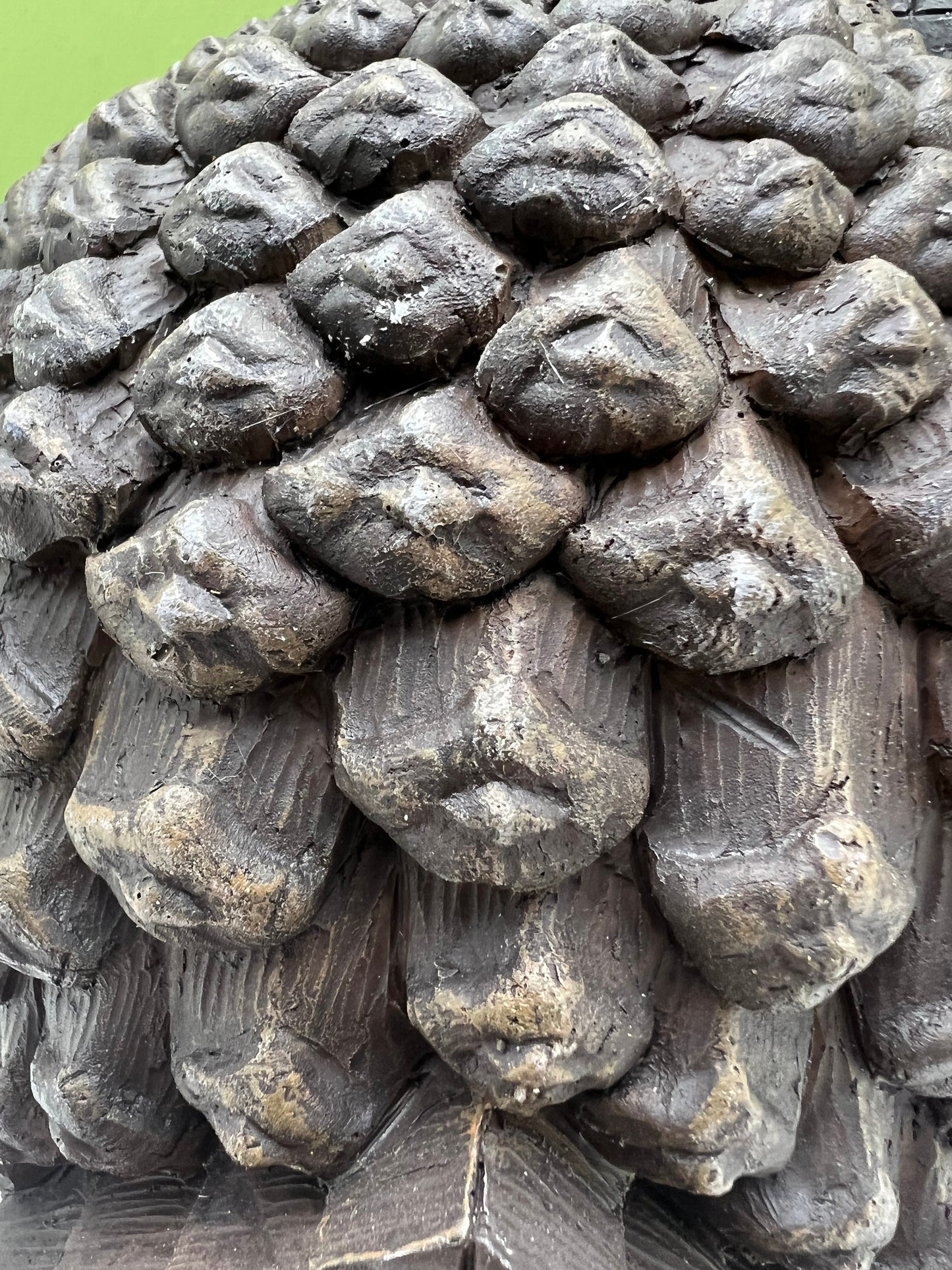 Solar Pinecone House
