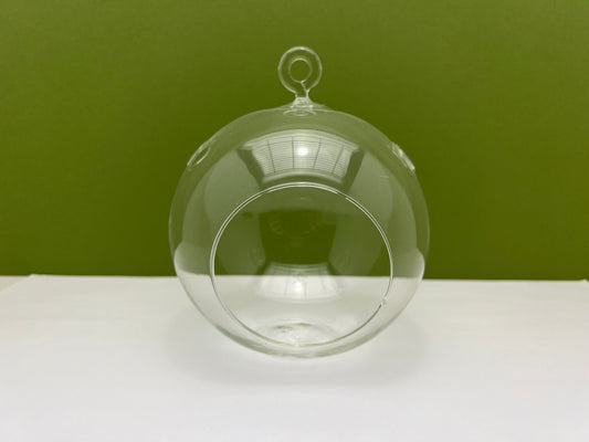 3 inch Glass Globe Orb with Rope Hanging Terrarium Planter
