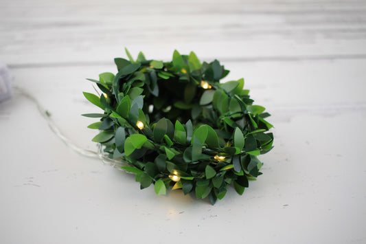 Leaf Fairy Lights LED Soft White 6 Foot Strand