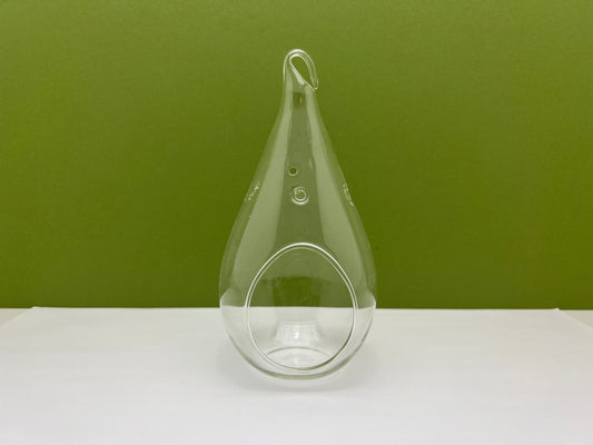 6 inch Glass Teardrop with Rope Hanging Terrarium Planter