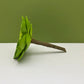 Fairy Garden Miniature Faux Echeveria Succulent Pick - Bright Green