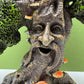 Tree House with Face