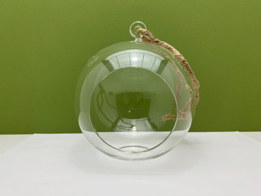 7.5 inch Glass Globe Orb with Rope Hanging Terrarium Planter